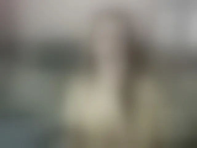 Live sex webcam photo for ella-myst #292375809