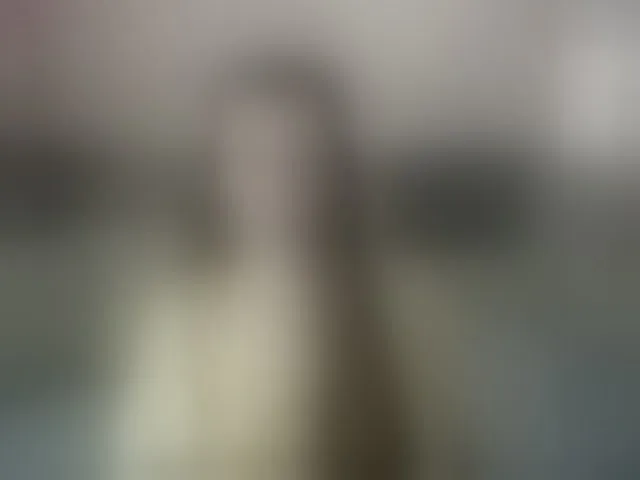 Live sex webcam photo for ella-myst #292401029