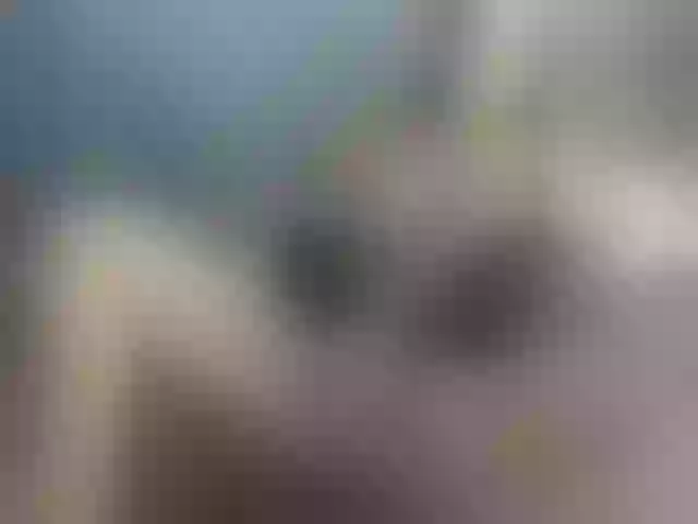 Live sex webcam photo for ellacandy #288387235
