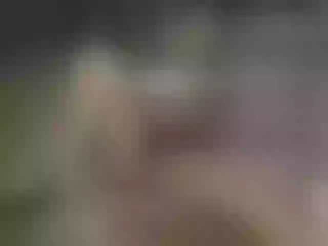 Live sex webcam photo for ellacandy #290798342