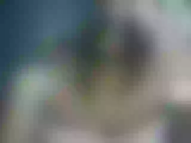 Live sex webcam photo for ellacandy #290840506