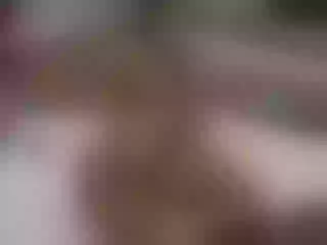 Live sex webcam photo for ellacandy #291432671