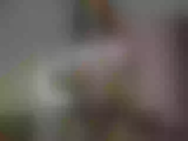 Live sex webcam photo for ellacandy #291628052