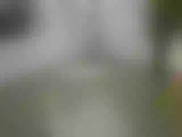 Live sex webcam photo for ellacandy #291843808