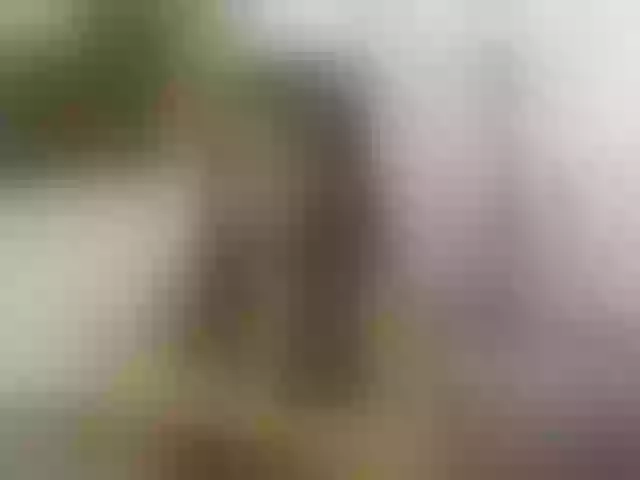 Live sex webcam photo for ellacandy #291852593