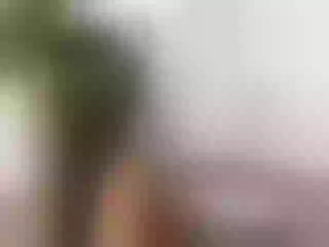Live sex webcam photo for ellacandy #291879546