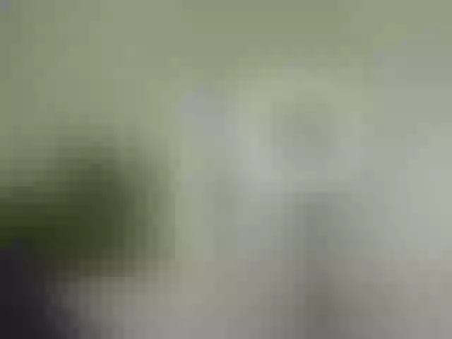 Live sex webcam photo for ellacandy #291918152