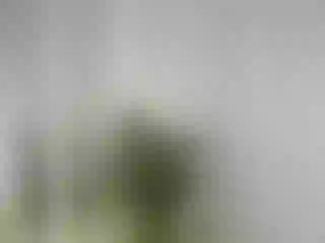 Live sex webcam photo for ellacandy #292261770
