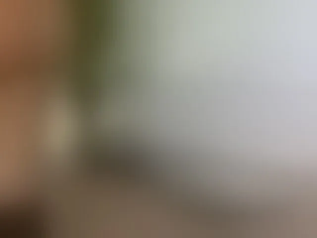 Live sex webcam photo for ellacandy #292329105