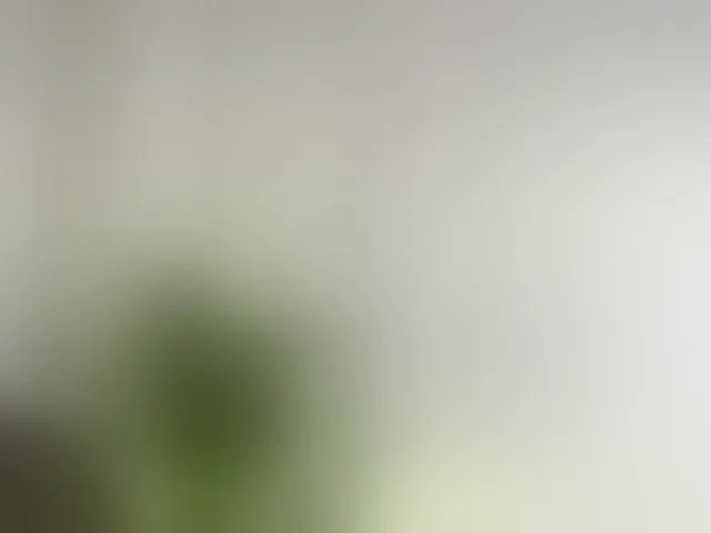 Live sex webcam photo for ellacandy #292376770