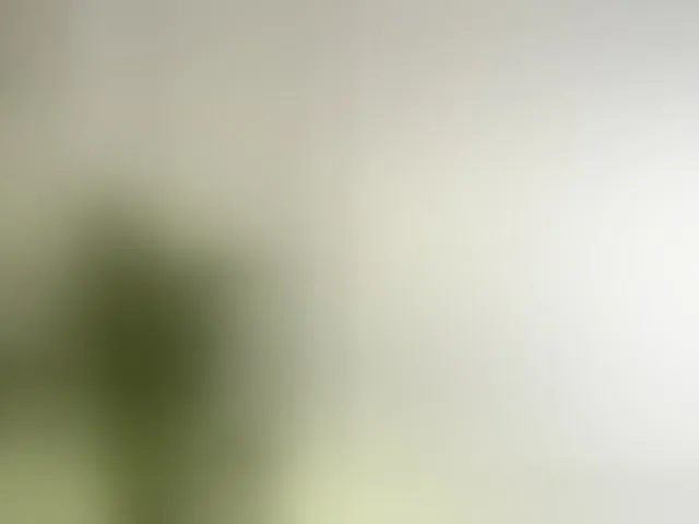 Live sex webcam photo for ellacandy #292414694