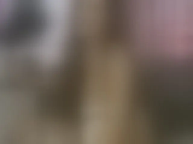 Live sex webcam photo for ellacandy #293259048