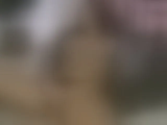 Live sex webcam photo for ellacandy #293329818