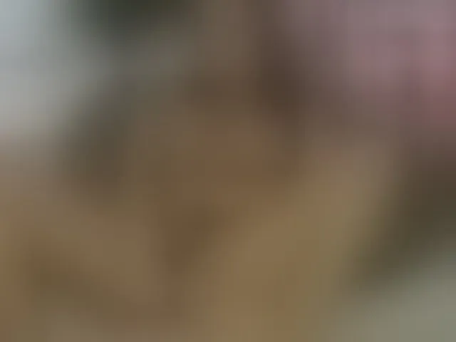Live sex webcam photo for ellacandy #293442672