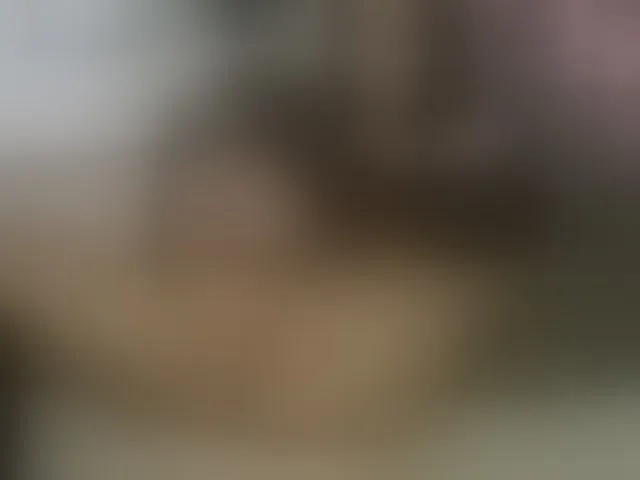 Live sex webcam photo for ellacandy #293472695