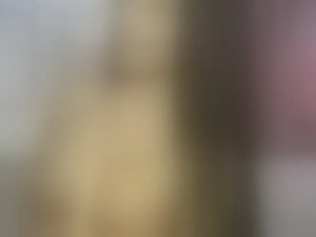 Live sex webcam photo for ellacandy #293706334