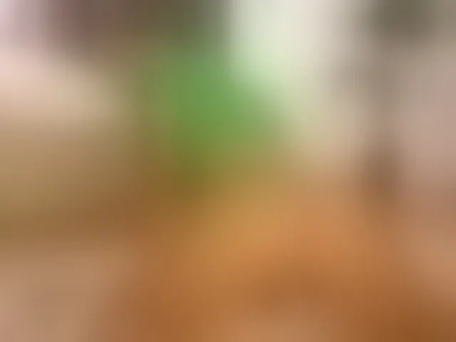 Live sex webcam photo for ellacandy #294258790