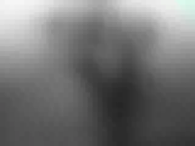 Live sex webcam photo for elleinx #273087859