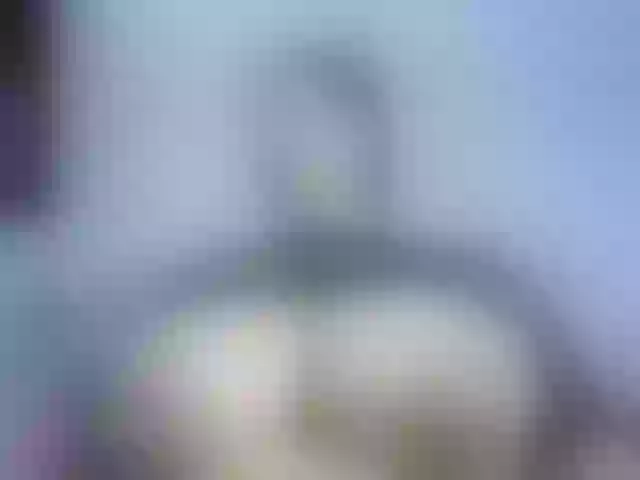 Live sex webcam photo for ellenb1 #277876035