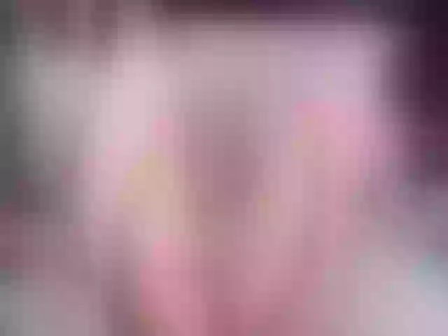 Live sex webcam photo for elliza717 #271717765