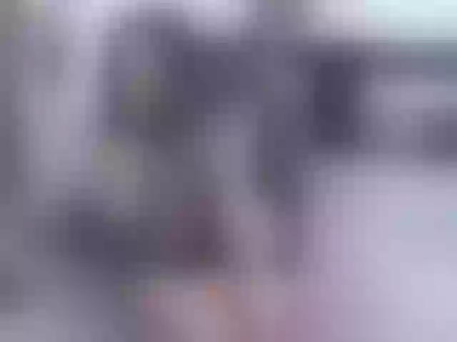 Live sex webcam photo for elliza717 #273006688