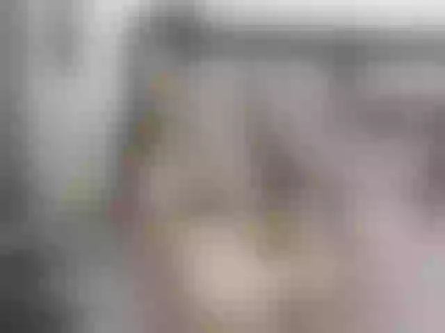 Live sex webcam photo for elliza717 #277492694