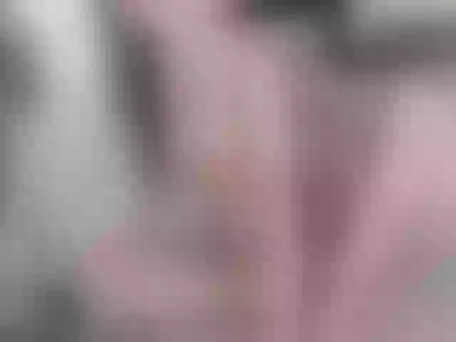 Live sex webcam photo for elliza717 #290001551