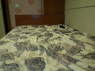 Live sex webcam photo for ellss777 #144143162