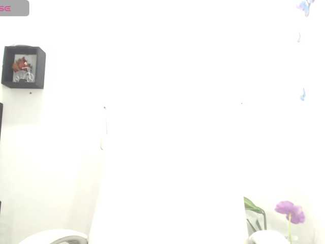 Live sex webcam photo for elly-willis #290603688