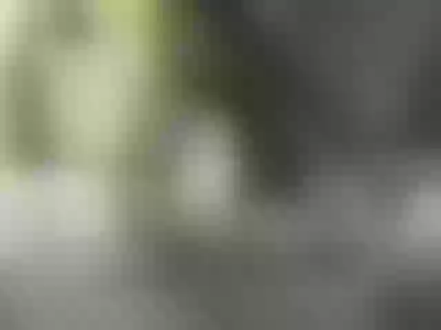 Live sex webcam photo for elylah #276072570