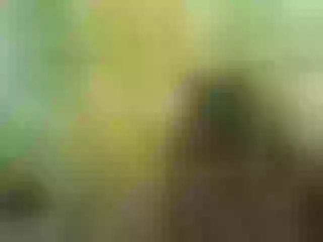 Live sex webcam photo for elylah #276120341