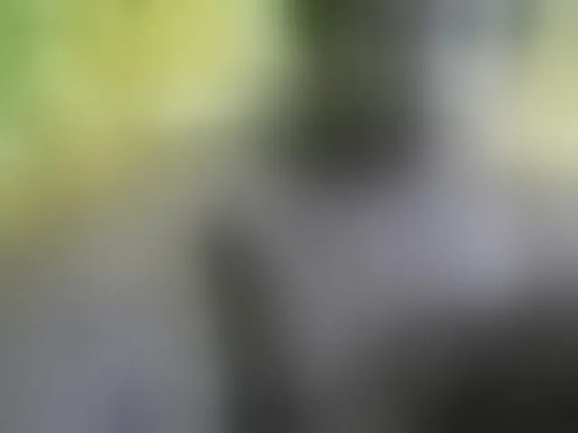 Live sex webcam photo for elylah #276162820
