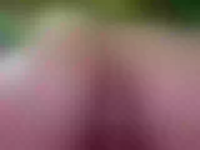 Live sex webcam photo for emiliclark #290682482