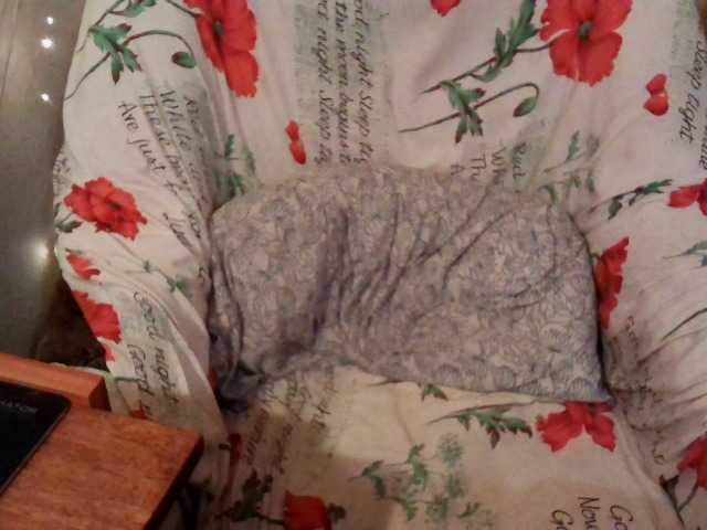 Live sex webcam photo for emily-shyx #276286550