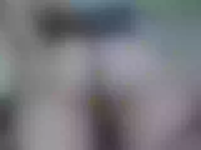Live sex webcam photo for emilyhaze #277668492