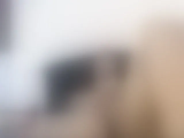 Live sex webcam photo for emilyjohnson3 #272691900
