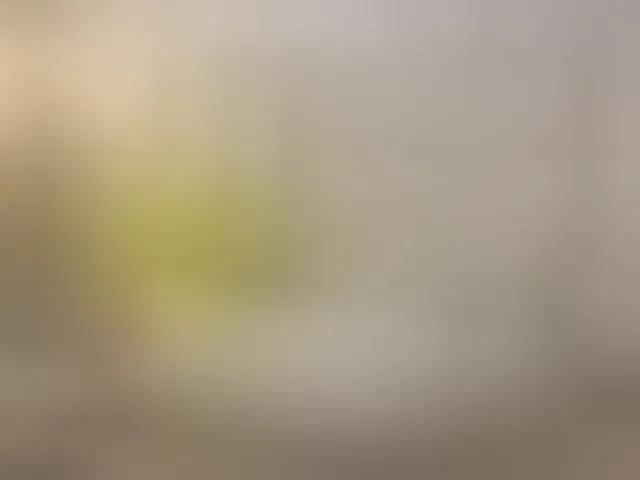 Live sex webcam photo for emilyqueen3xx #293882606