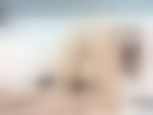 Live sex webcam photo for emilysiilver #276234060