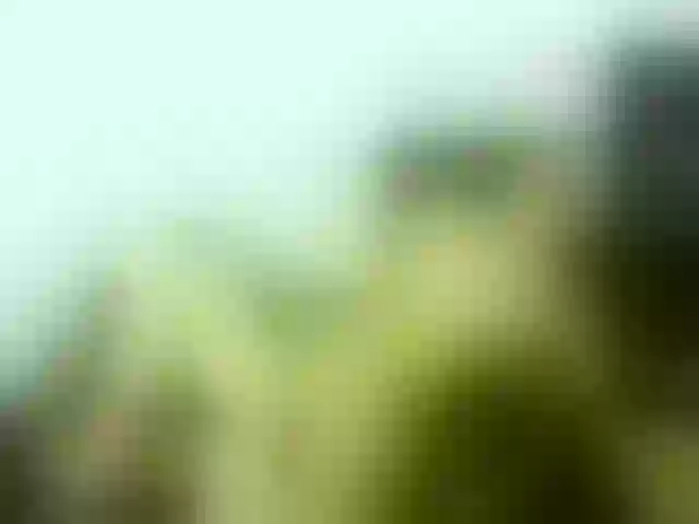 Live sex webcam photo for emmaherby1 #273277787