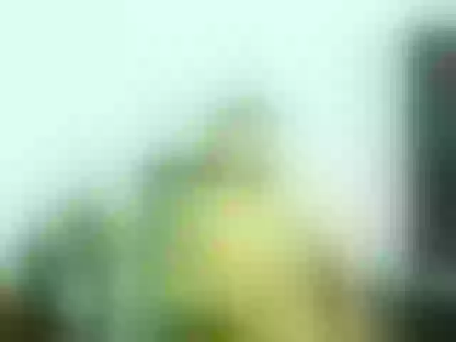 Live sex webcam photo for emmaherby1 #273791433