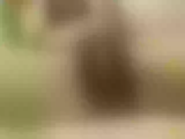 Live sex webcam photo for emmaherby1 #291749024