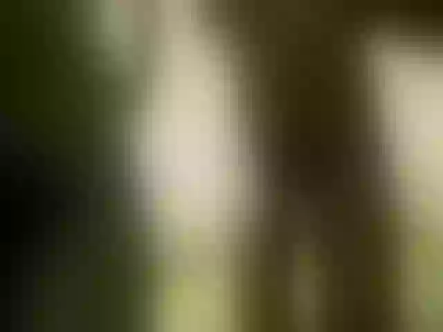 Live sex webcam photo for emmaherby1 #292017456