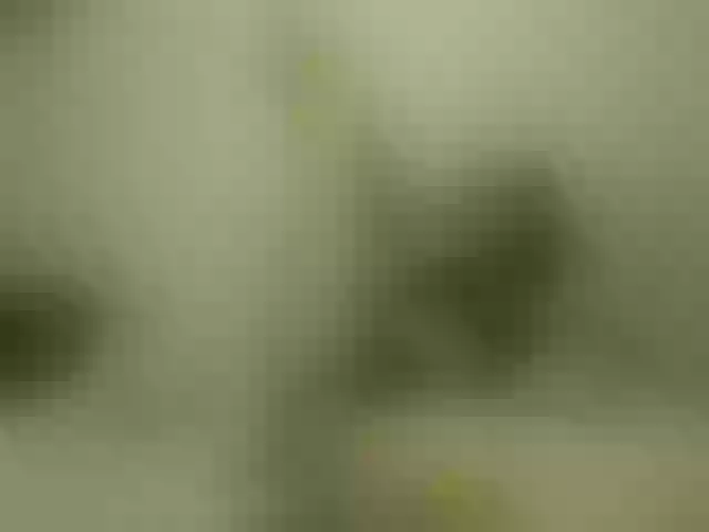 Live sex webcam photo for emmaherby1 #292258607
