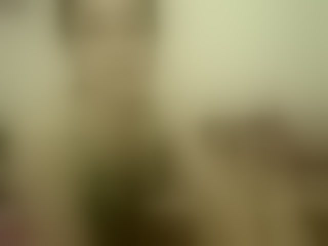 Live sex webcam photo for emmaherby1 #292536424