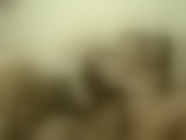 Live sex webcam photo for emmaherby1 #292579631