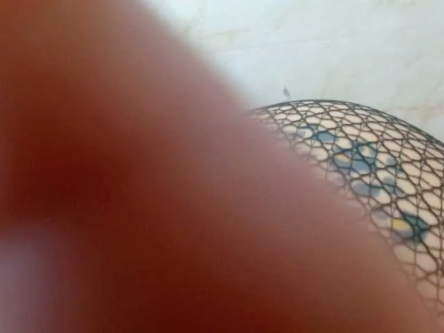 Live sex webcam photo for emmyqueenthx #274779881