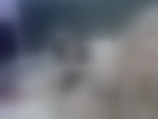 Live sex webcam photo for emuna-thomsom #277477791