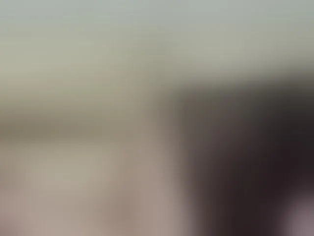 Live sex webcam photo for enchaleur76-1 #293819798