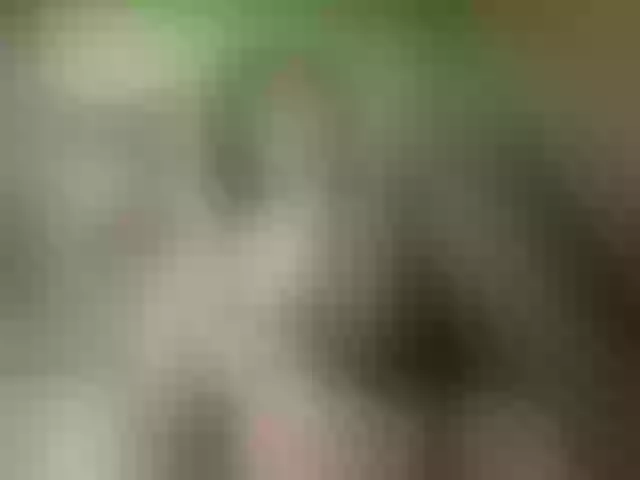 Live sex webcam photo for escarlett #273717340