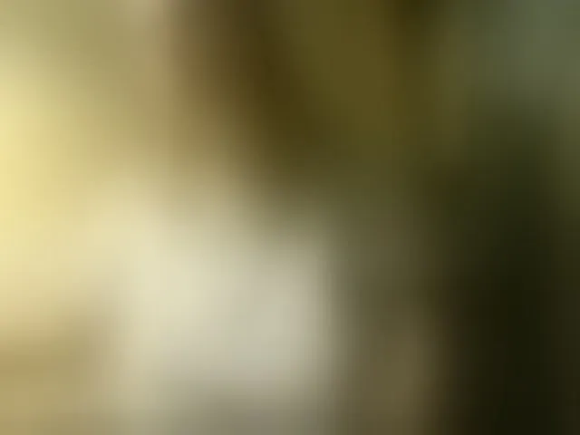 Live sex webcam photo for esterjohns #293255801